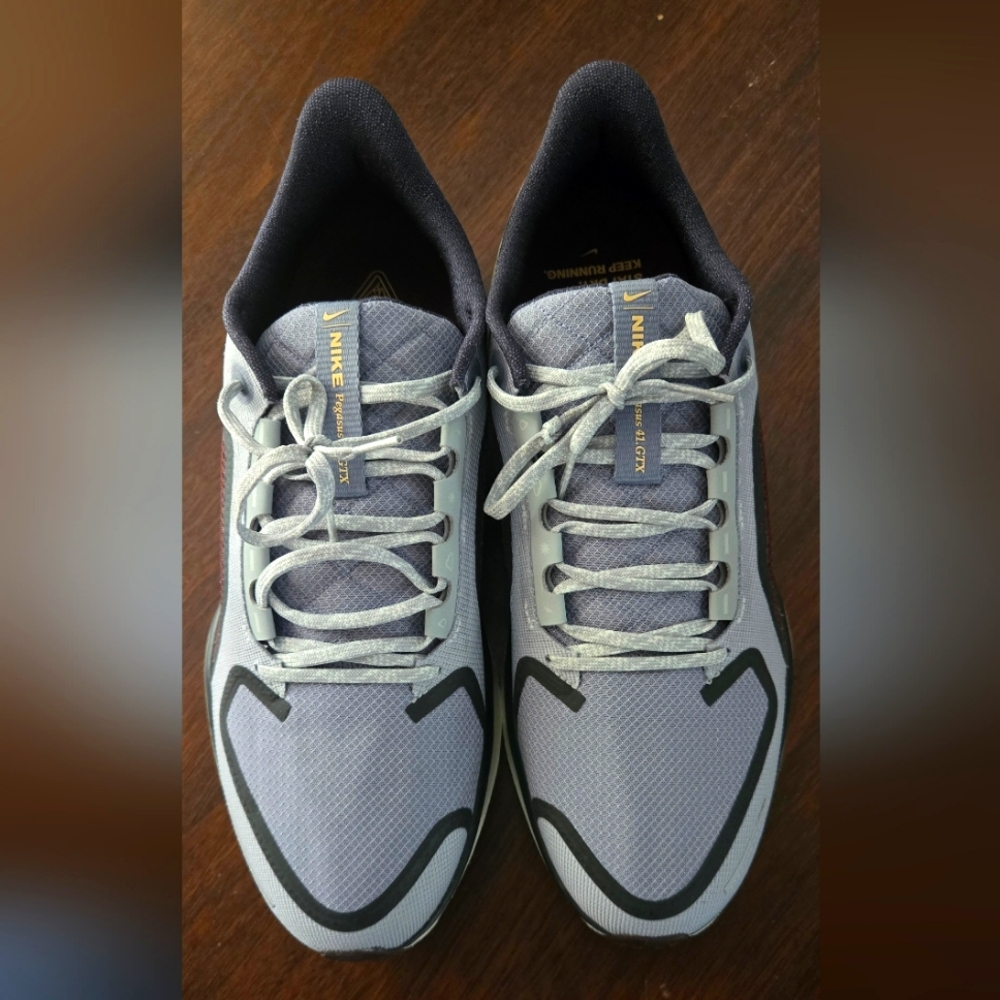 Nike Pegasus 41 GORE-TEX